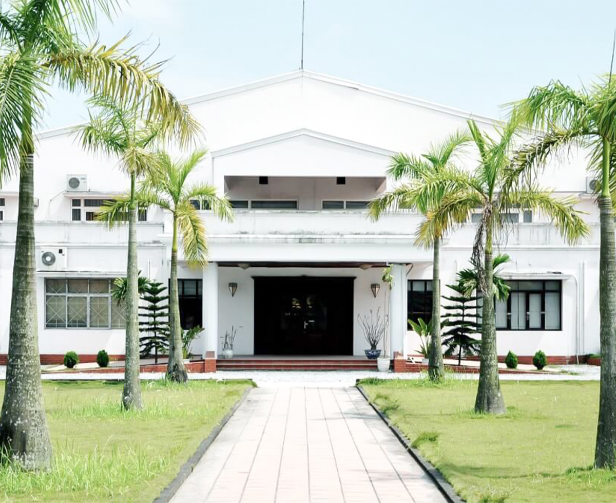 歩んできた道のりも美しく